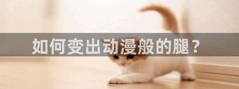 51漫画动画片：如何变出动漫般的腿？