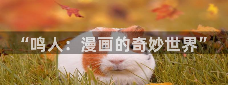 免费观看51漫画网站：“鸣人：漫画的奇妙世界”