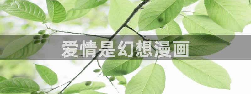 51漫画金手指漫画全集：爱情是幻想漫画