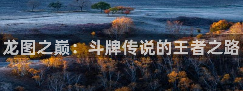 av漫画51漫画：龙图之巅：斗牌传说的王者之路