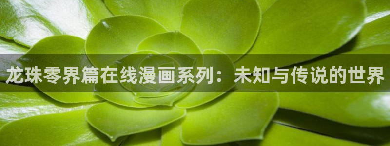 双男主51漫画在线观看：龙珠零界篇在线漫画系列：未知与传说的世界