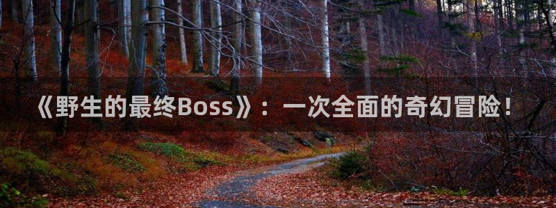 yy漫画51漫画首页：《野生的最终Boss》：一次全面的奇幻冒险！